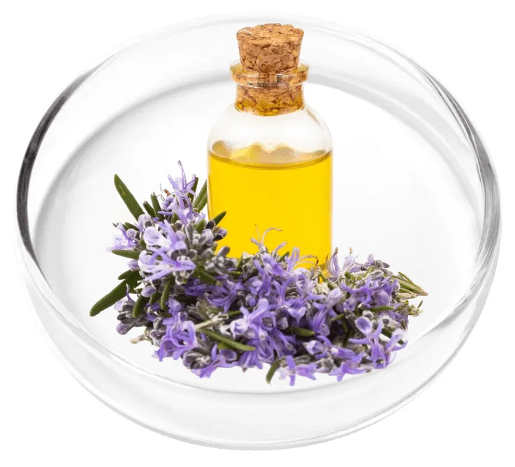 Illustrative ingredient image: Lavender oil